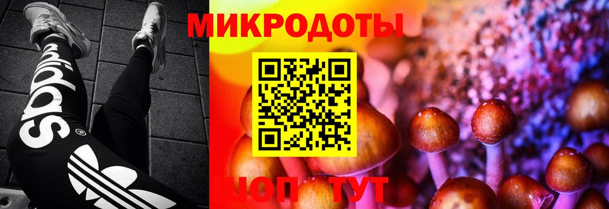 Галлюциногенные грибы Psilocybe  Вход с VPN  Искитим 